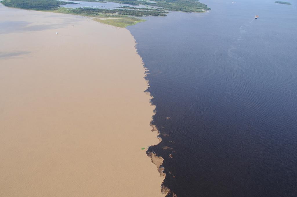 Ariau Amazon Towers Villa Manaus Dış mekan fotoğraf