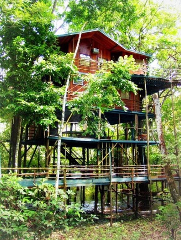 Ariau Amazon Towers Villa Manaus Dış mekan fotoğraf